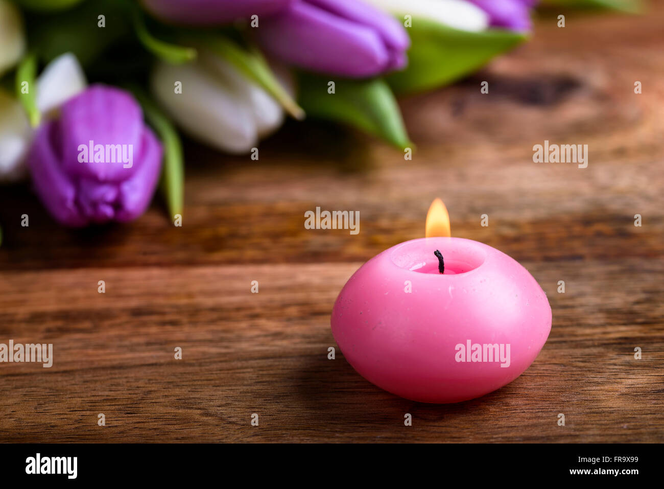 Candle tulip Banque de photographies et d'images à haute résolution - Alamy