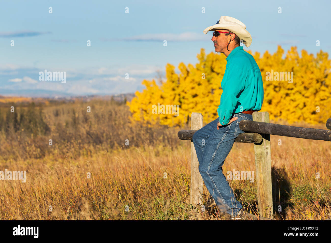 Homme avec chapeau de cow-boy en paille et lunettes de soleil assis au-dessus D'Une clôture en bois regardant au loin avec des arbres colorés en automne dans le Backgrou... Banque D'Images