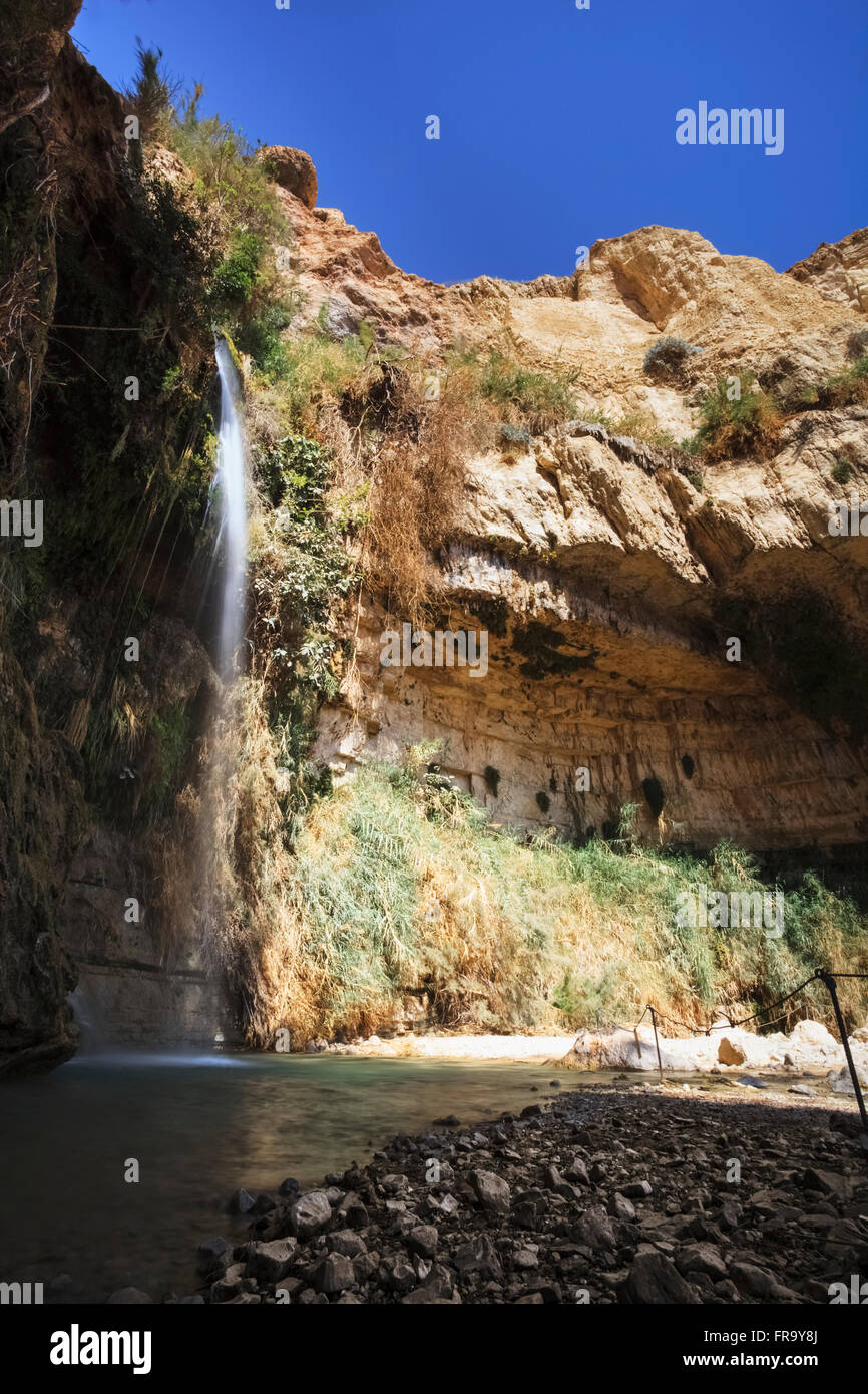 Eau sortant d'un rocher ; Israël Banque D'Images