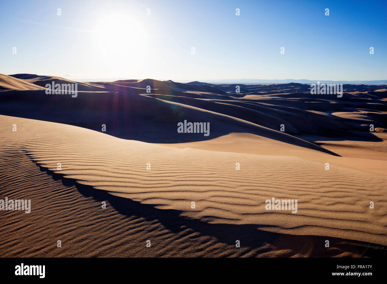 Soleil sur les dunes de sable du désert dans la région de Great Sand Dunes National Park, Colorado, USA. Banque D'Images