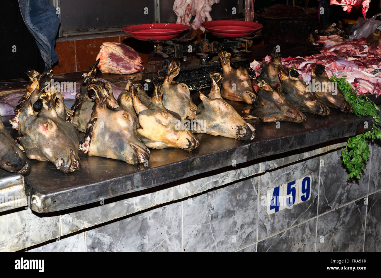 Comptoir avec 14 têtes de chèvre brûlé à vendre à souk ; Agadir, Maroc Banque D'Images