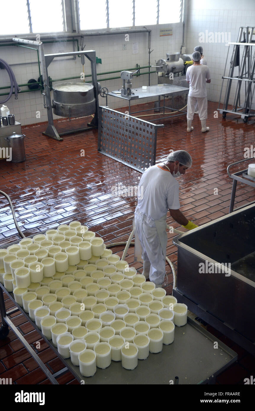 Production de fromages fabriqués dans la région Serrana Fluminense Banque D'Images