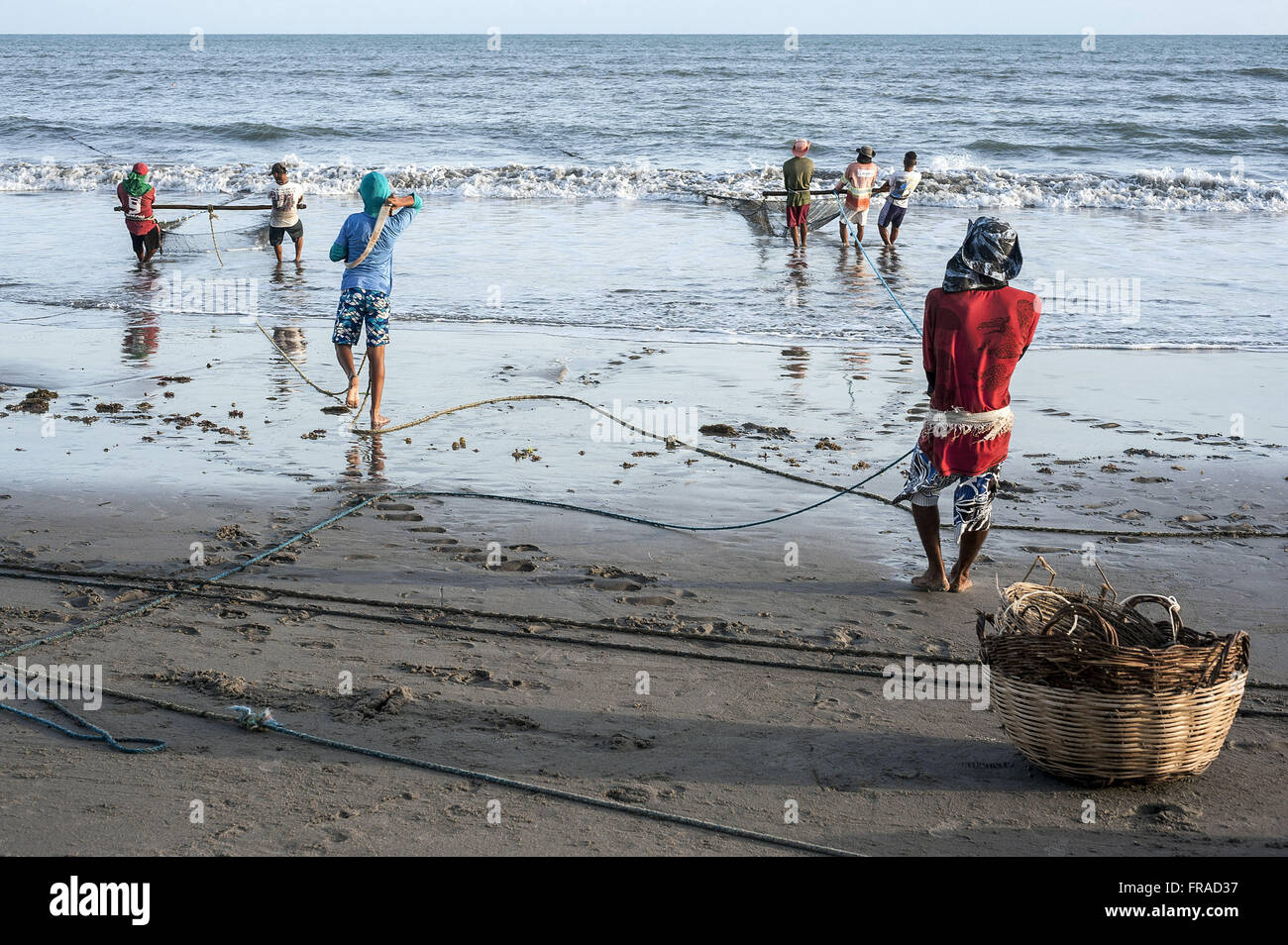 La pêche de crevettes et de sardines avec network Banque D'Images