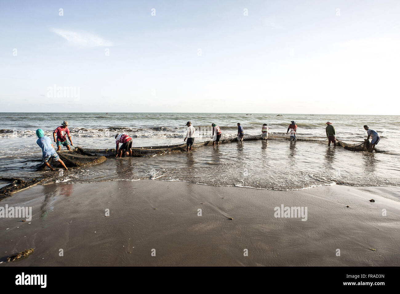 La pêche de crevettes et de sardines avec network Banque D'Images