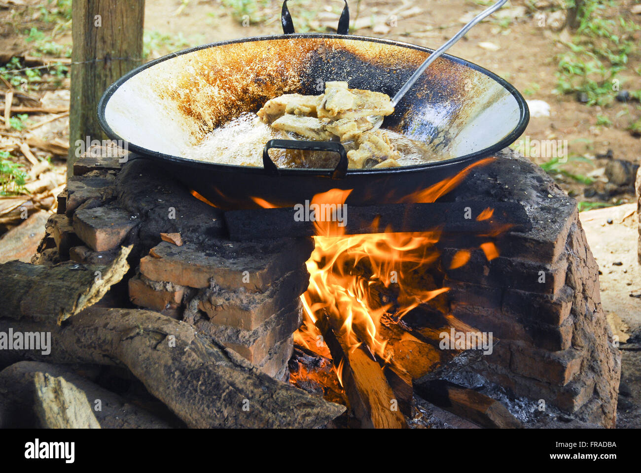 Fry mettre le ventrecha Sspi poisson - cuiabana la nourriture traditionnelle Banque D'Images
