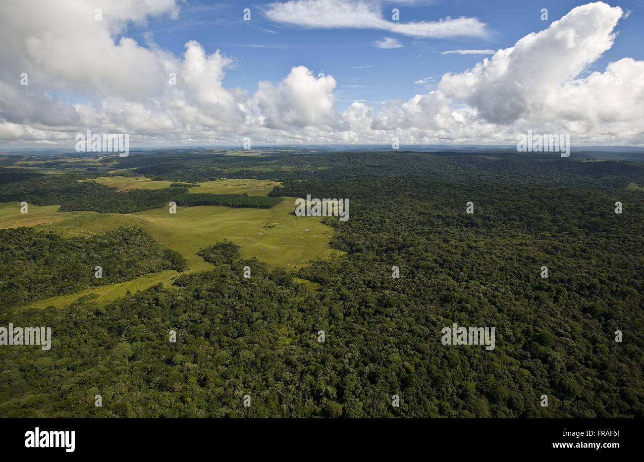 Vue aérienne de la Cima da Serra de Campos Banque D'Images