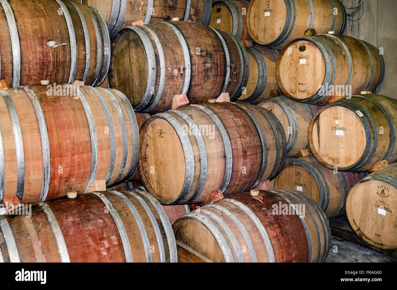 Des fûts de chêne pour le vieillissement du vin dans la cave de la cave Anura - village Klapmuts Banque D'Images