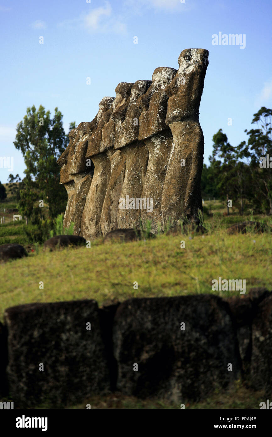 Moai au secteur de l'Ahu Akivi - Parc national de Rapa Nui sur l'île de Pâques Banque D'Images