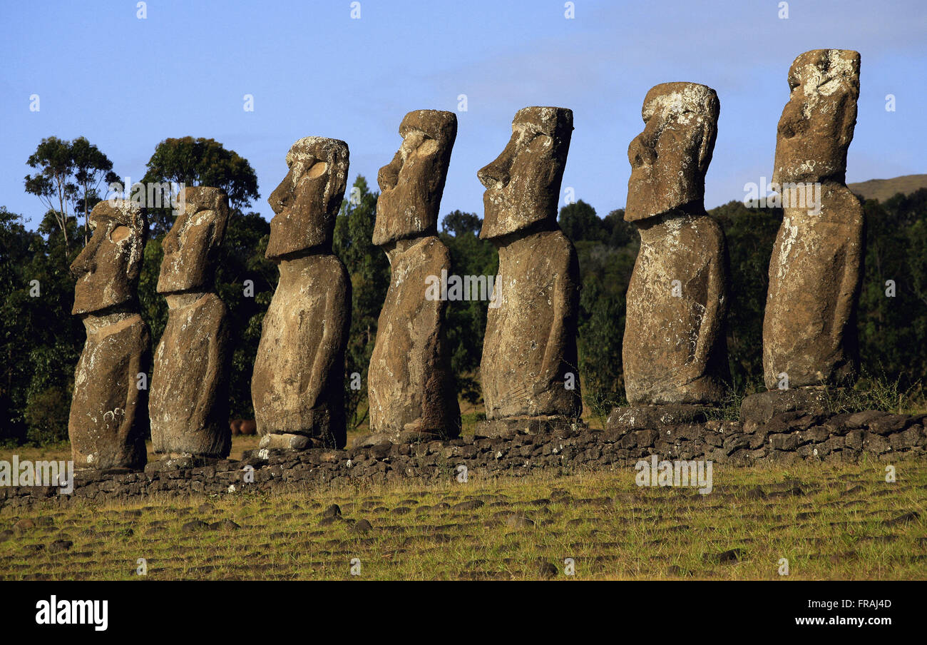 Moai au secteur de l'Ahu Akivi - Parc national de Rapa Nui sur l'île de Pâques Banque D'Images