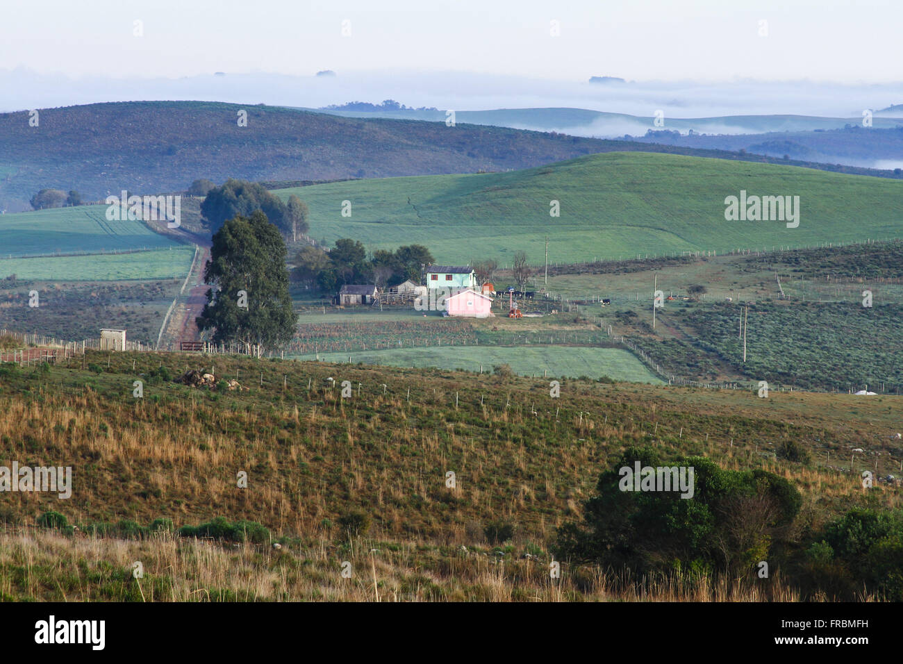 Paysage rural avec des maisons, des plantations et des collines herbeuses avec brouillard à l'aube Banque D'Images