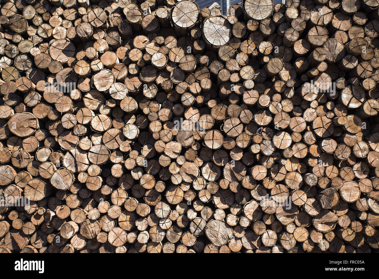 Détail du bois utilisé dans les silos de stockage de céréales de l'industrie alimentaire Banque D'Images