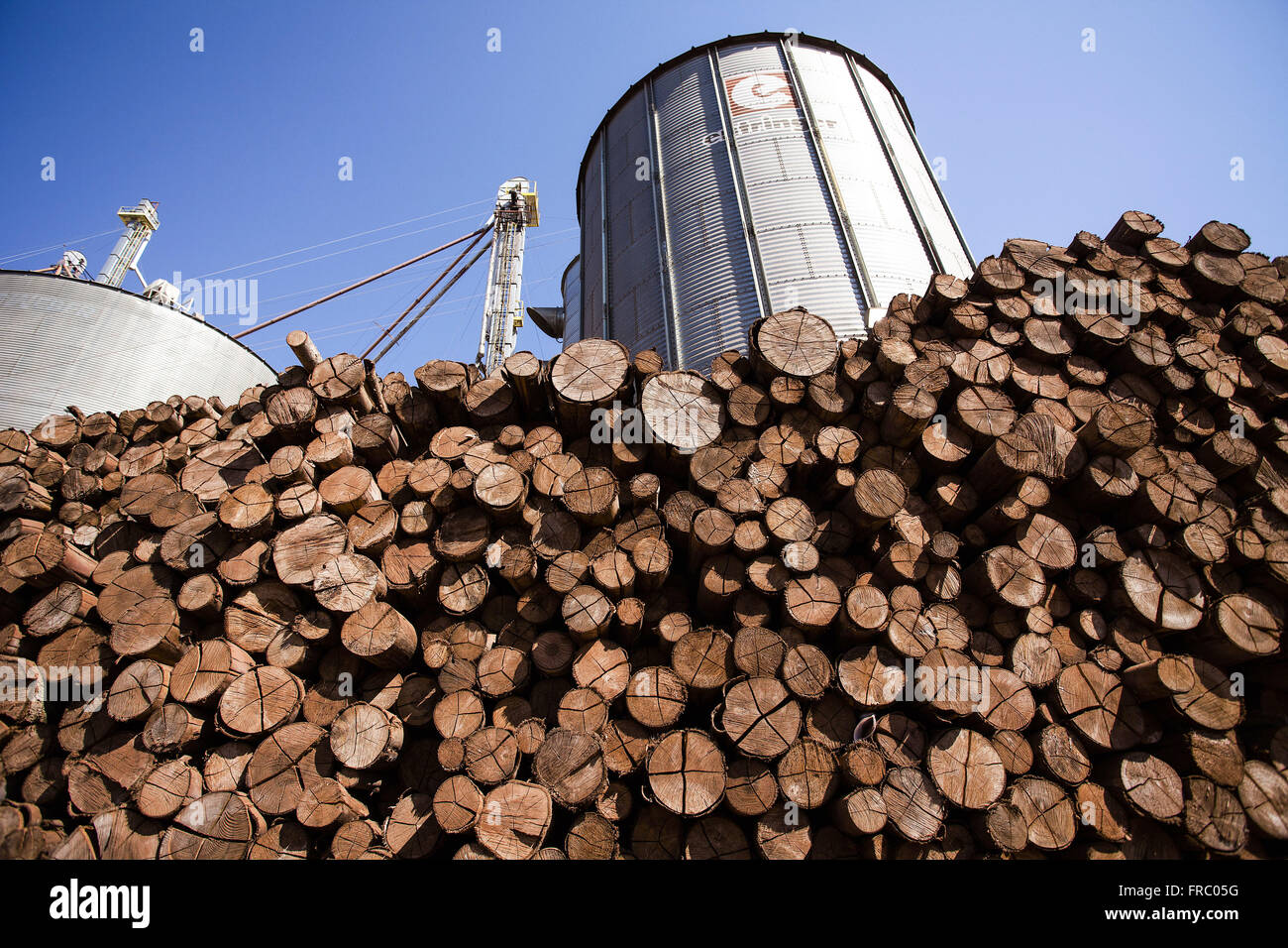 Le bois utilisé dans les silos de stockage de céréales de l'industrie alimentaire Banque D'Images
