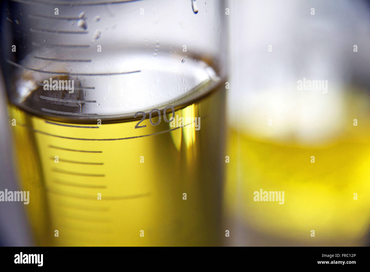 Le biodiesel palm Banque D'Images