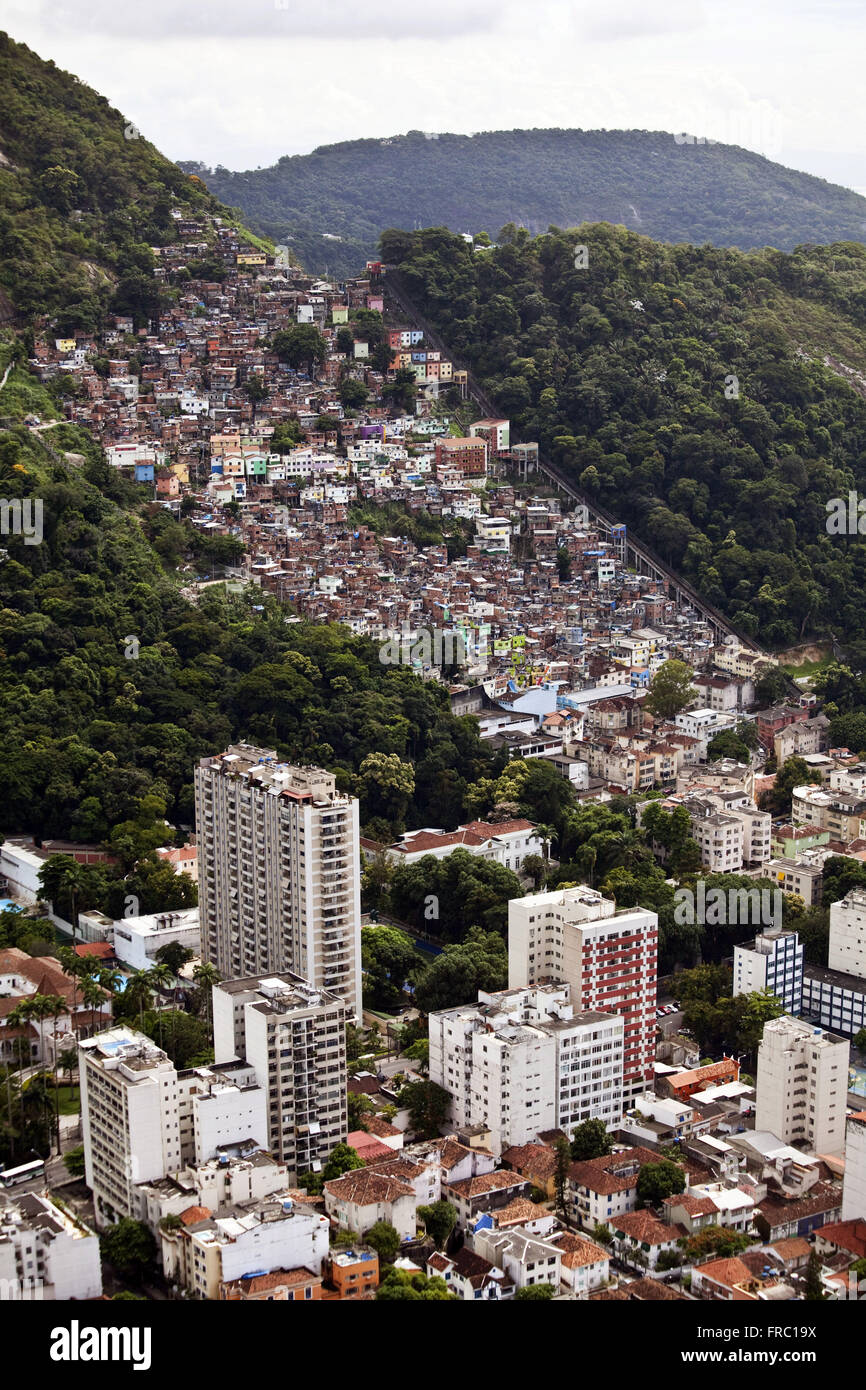 Vue aérienne de Santa Marta favela Morro Dona Marta - au sud de la ville de Rio de Janeiro Banque D'Images