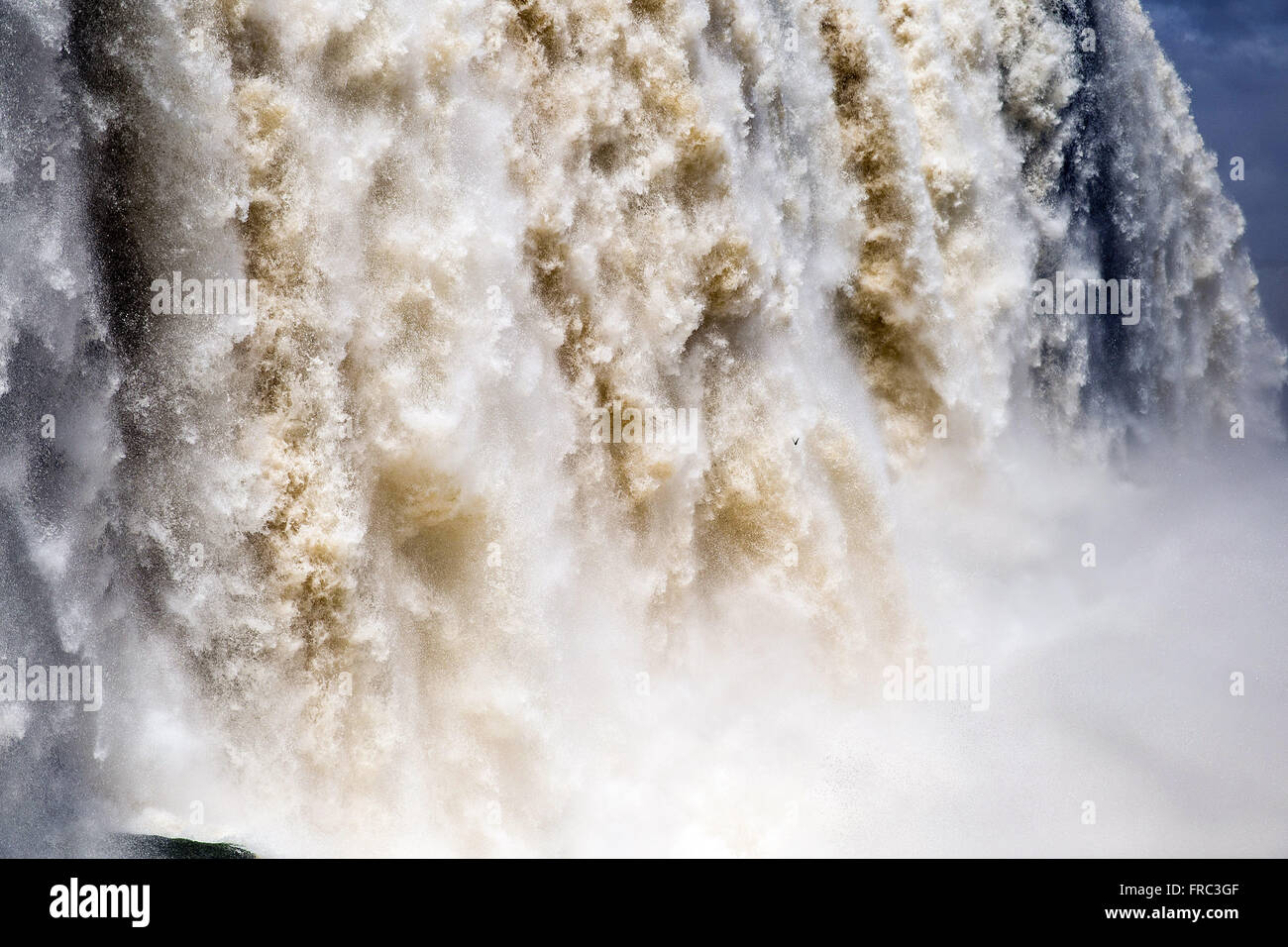 Détail de l'Iguaçu Falls Banque D'Images