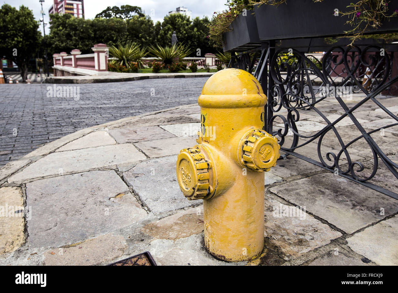 Hidrante de rua na frente do Teatro Amazonas Banque D'Images
