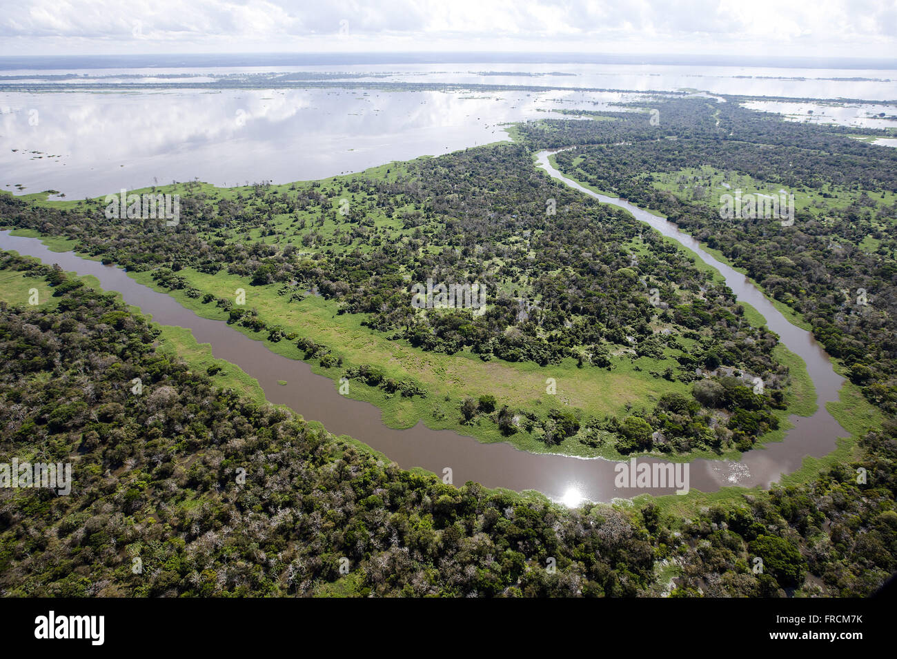 Vista Aérea de áreas da Floresta amazônica durante un alagadas cheia do Rio Amazonas Banque D'Images