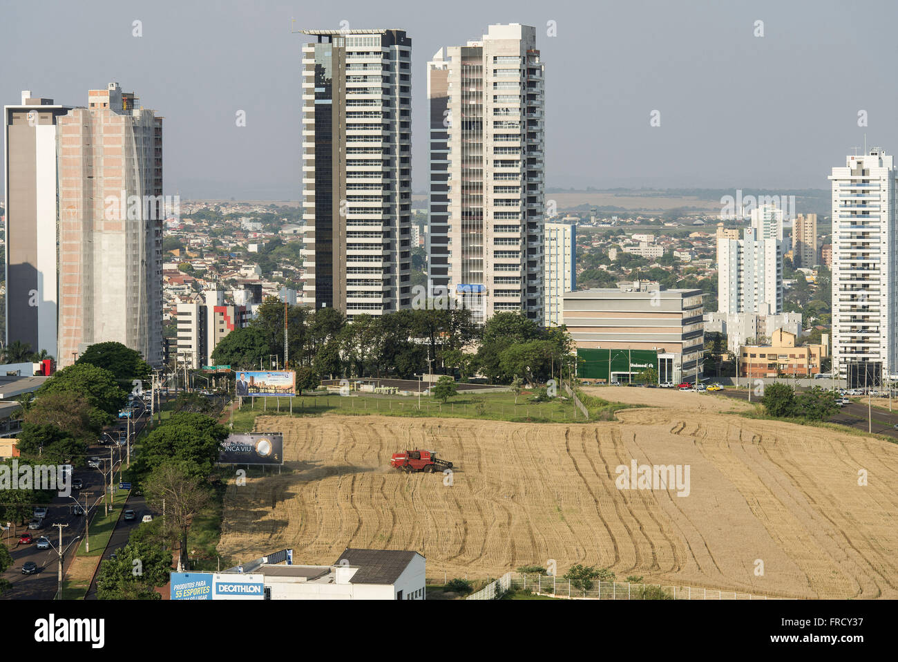 Colheitadeira colhendo trigo em zona urbana no bairro Palhano - conflito entre urbano rurales e Banque D'Images