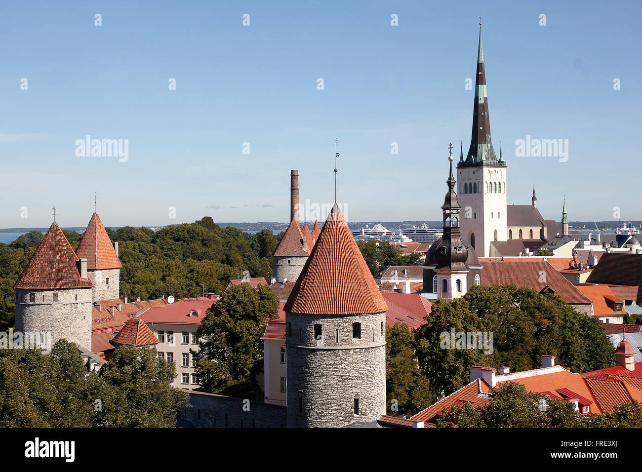 Vue sur les toits de Tallinn, capitale de l'Estonie Banque D'Images