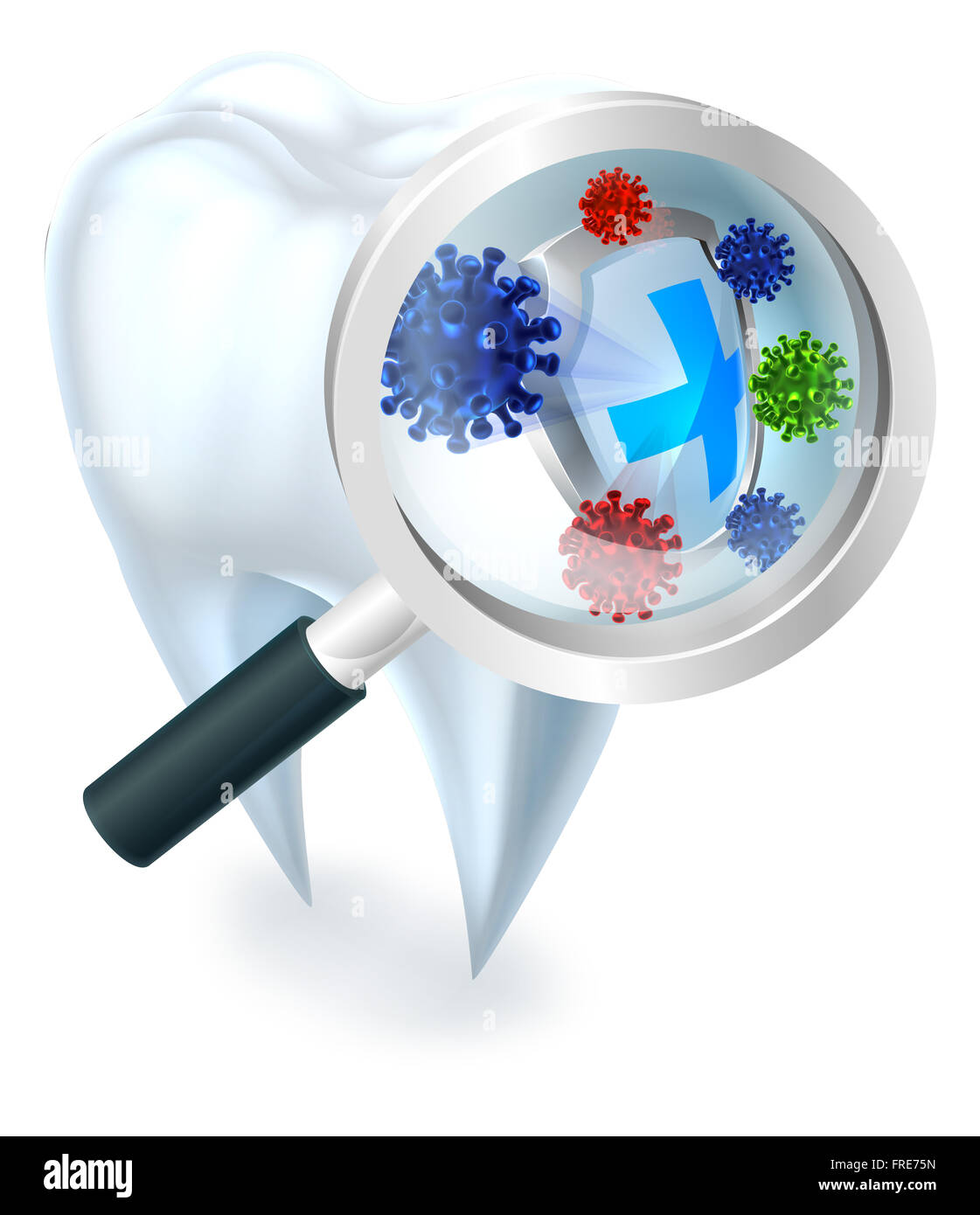 Une illustration d'une dent dentaire protégés contre les bactéries par une protection accrue par une loupe Banque D'Images
