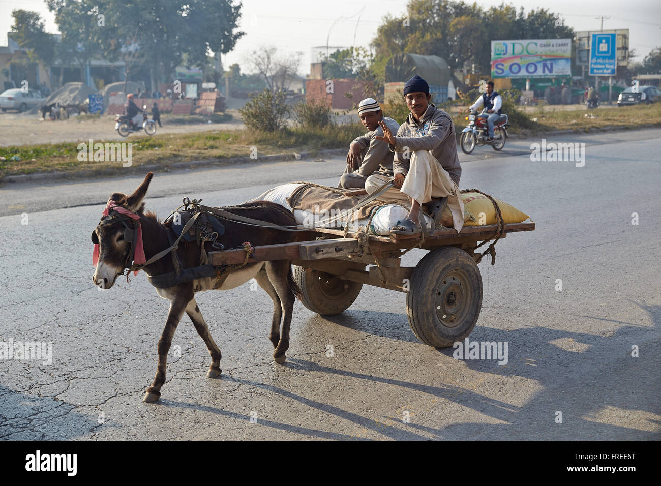 Équipe d'ânes sur la route, Rawalpindi, Pakistan Banque D'Images