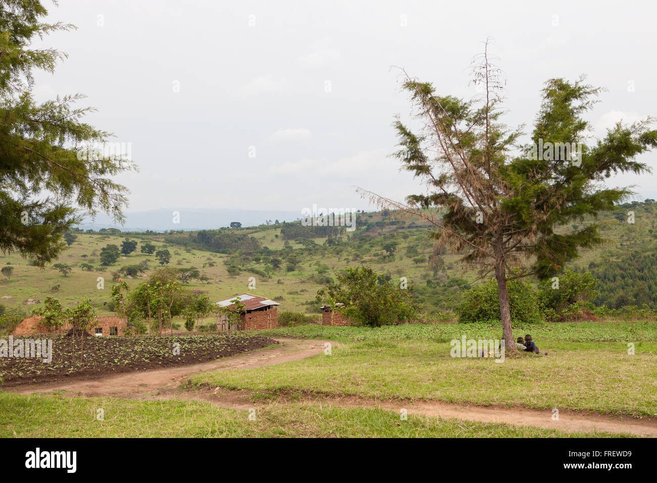 La vue de Kashare Niveau 3 Centre de santé, de l'Ouganda, l'Afrique Banque D'Images