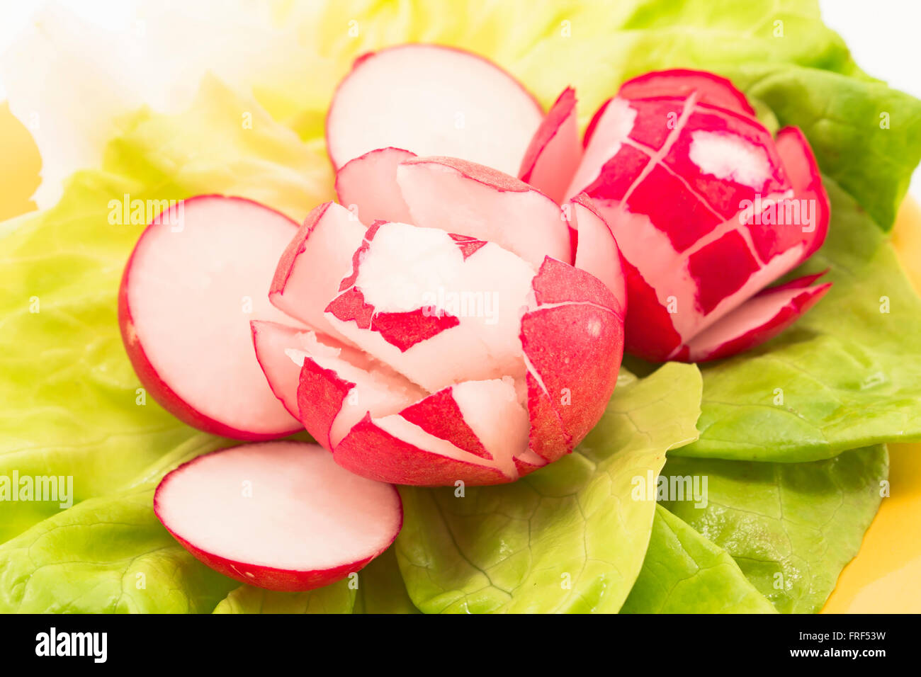 Salade de radis et de laitue. Banque D'Images