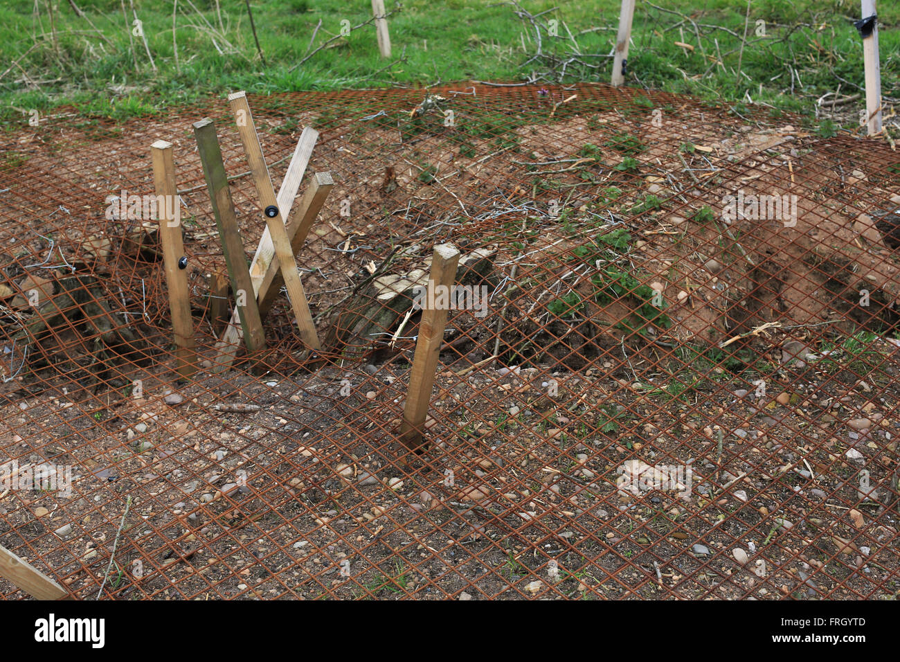 Les terriers de blaireau détruits sur le site d'un club de rugby à controverse sur l'application de planification Doxey Marais de Stafford Banque D'Images