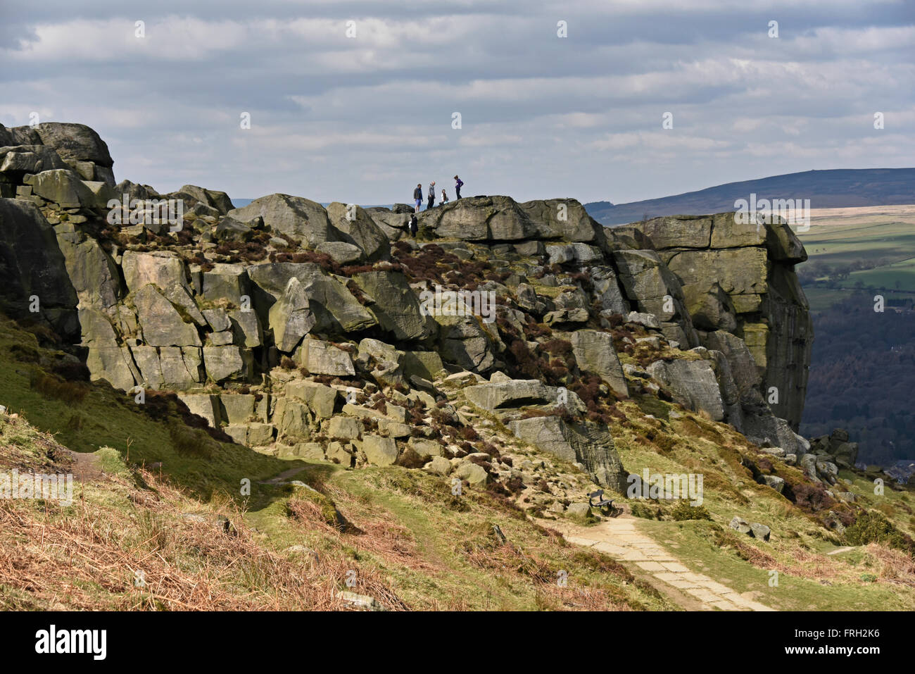 La vache et veau. Ilkley Moor, Hangingstone Road, Bradford, West Yorkshire, Angleterre, Royaume-Uni, Europe. Banque D'Images