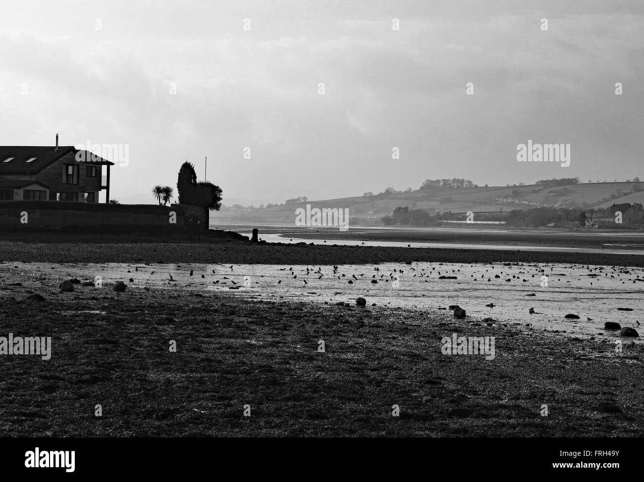 66109 et 66177 queue top n UK Railtours Tre Pol et charte stylo le long des berges de la rivière Teign à Bishopsteignton Banque D'Images