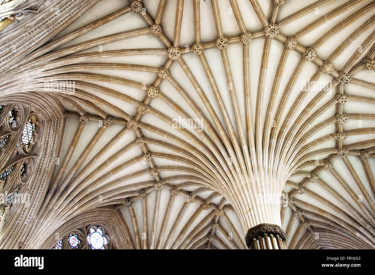 Wells Cathedral Chapter chambre voûtée. Somerset, Angleterre Banque D'Images