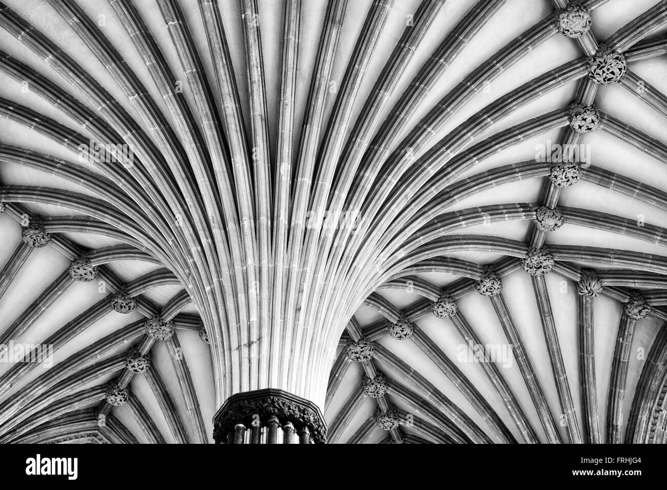 Wells Cathedral Chapter chambre voûtée. Le Somerset, Angleterre. Le noir et blanc Banque D'Images