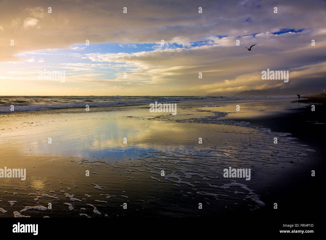 Plage, Oxnard, Californie Banque D'Images