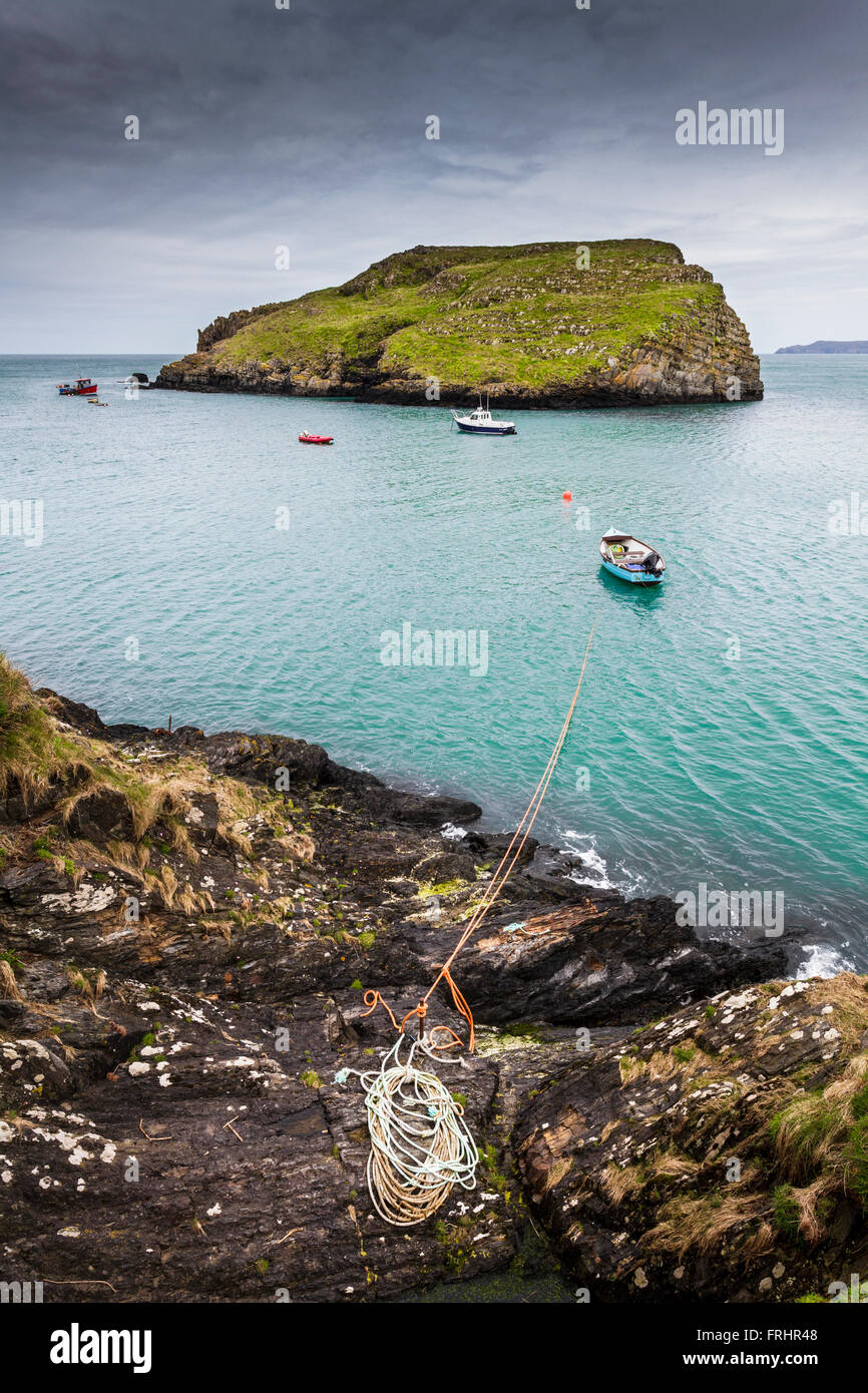 Ynys y Castell (Castle Island), Abercastle, Pembrokeshire, Pays de Galles UK Banque D'Images