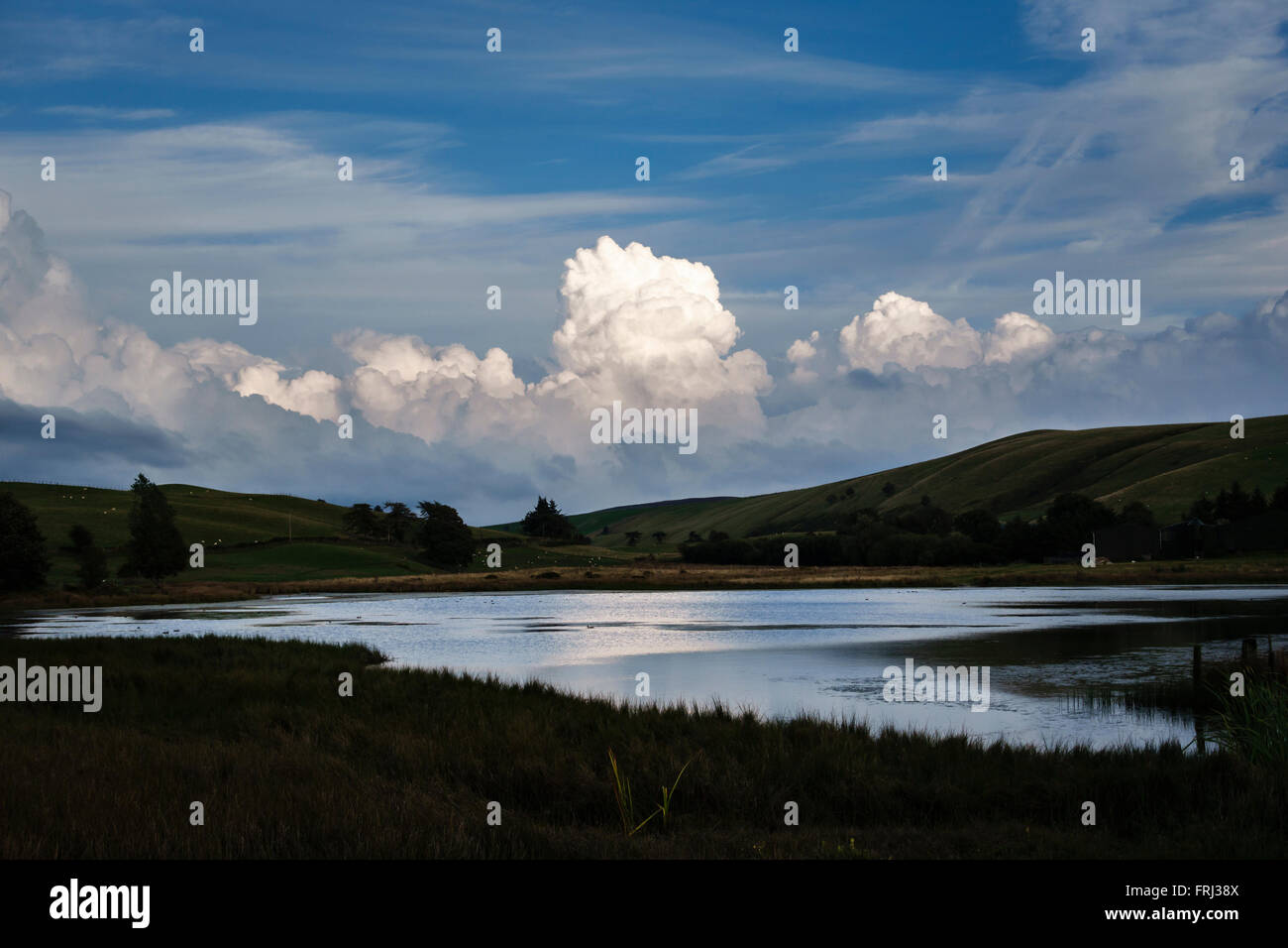 Llynheilyn Heilyn (Lac Llyn) à Llanfinhangel-nant-Melan, Powys. Un petit lac de montagne près de New Radnor au milieu du Pays de Galles, à proximité de l'A481 Banque D'Images