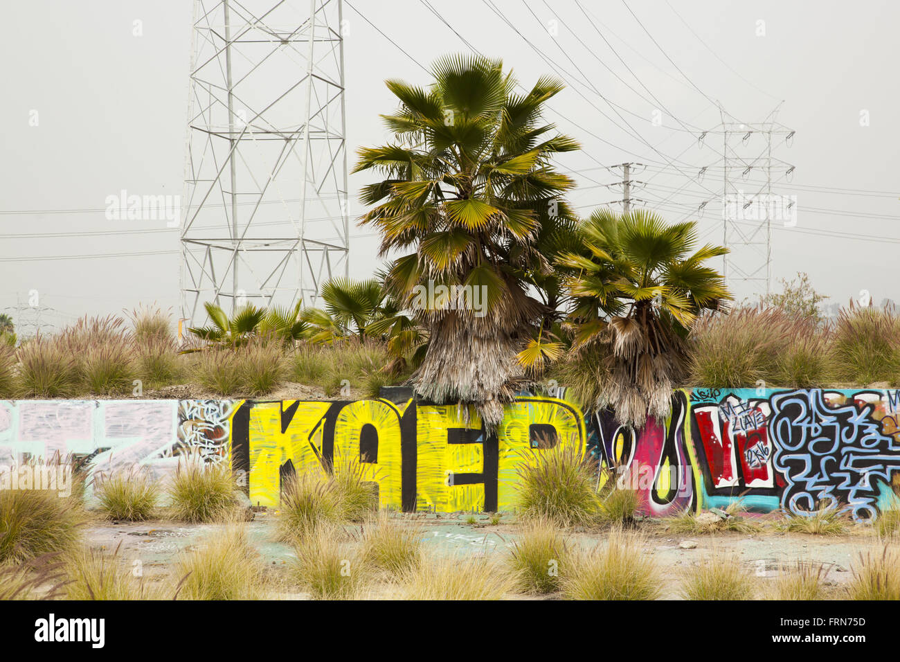 Le Graffiti le long de la Los Angeles River, Glendale, Californie, USA Banque D'Images