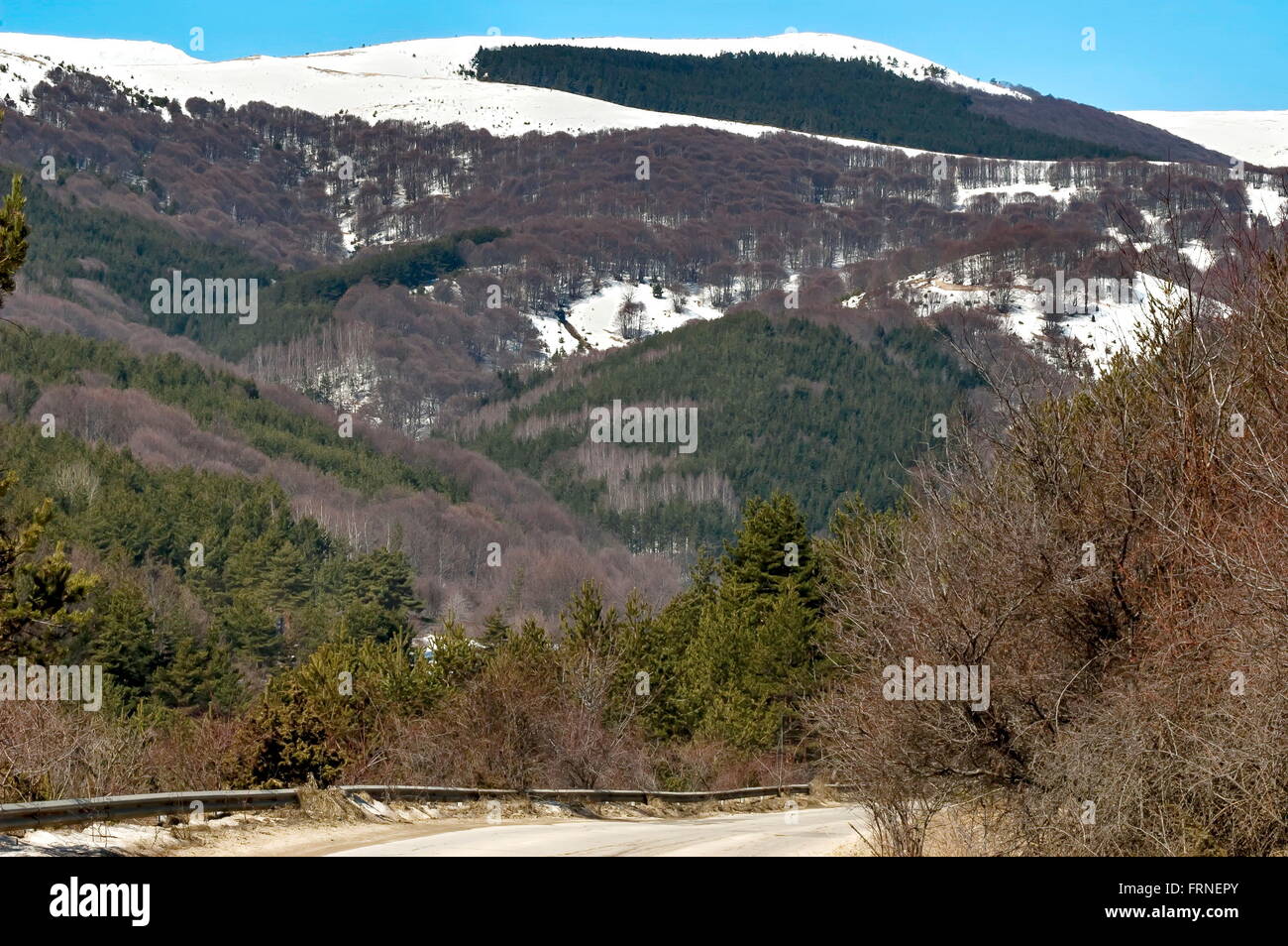 Panorama hiver paysage avec des forêts de feuillus et de pins dans la montagne Vitosha, Bulgarie Banque D'Images