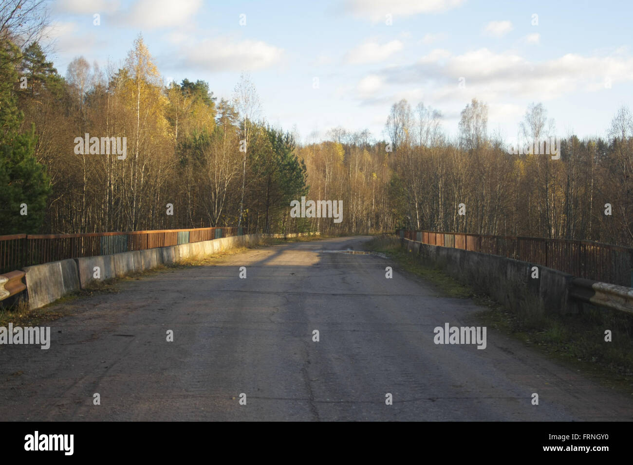 Pont sur un chemin rural qui traverse une forêt Banque D'Images