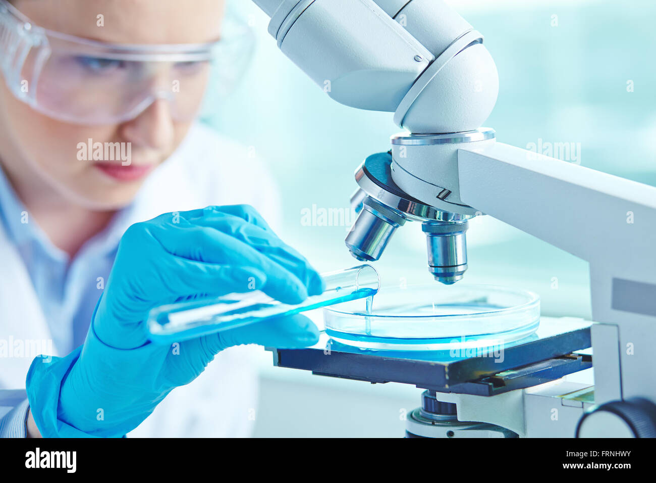 Au laboratoire Banque D'Images