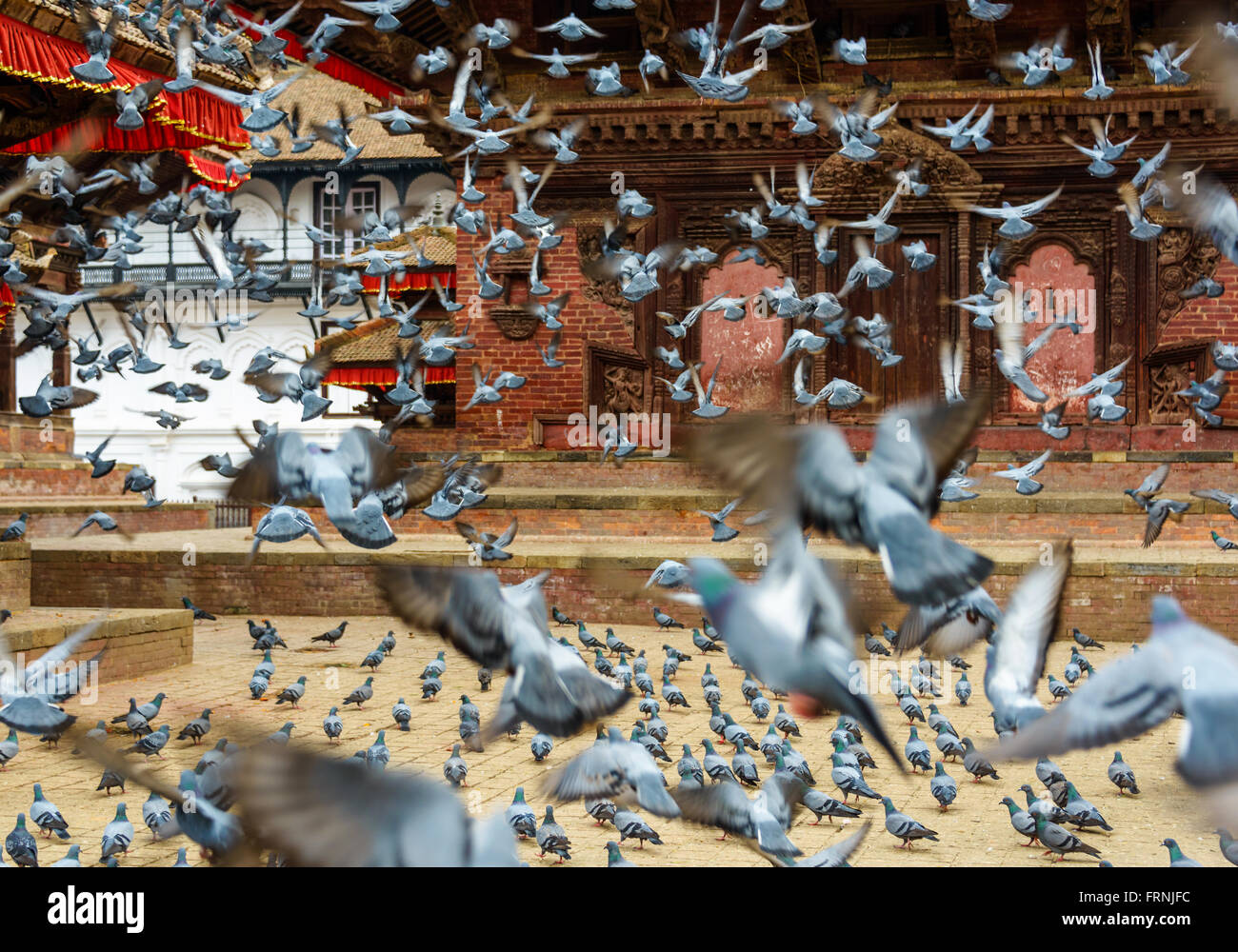 Les pigeons qui décolle de Katmandou Durbar Square, au Népal Banque D'Images