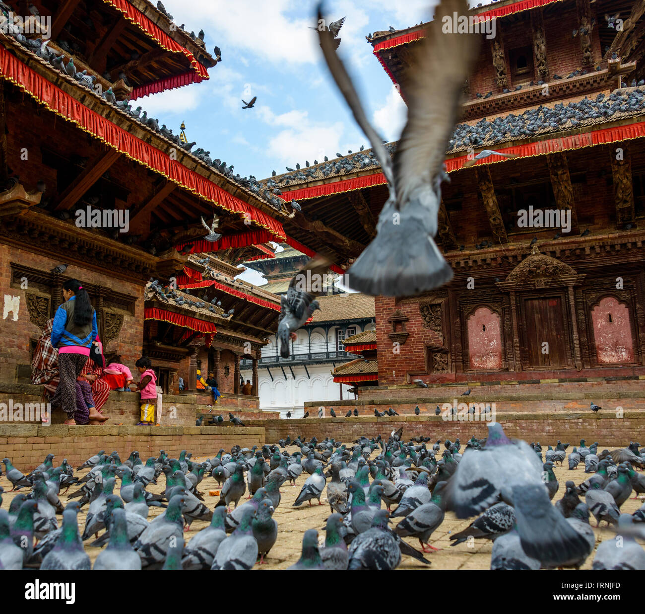 Vers novembre 2013 à Katmandou, Népal : Pigeons à Durbar Square Banque D'Images