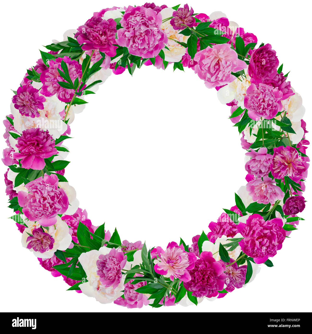 Rose et blanc du vrai pivoines branches roundl cadre photo. Isolé sur blanc collage fait main Banque D'Images