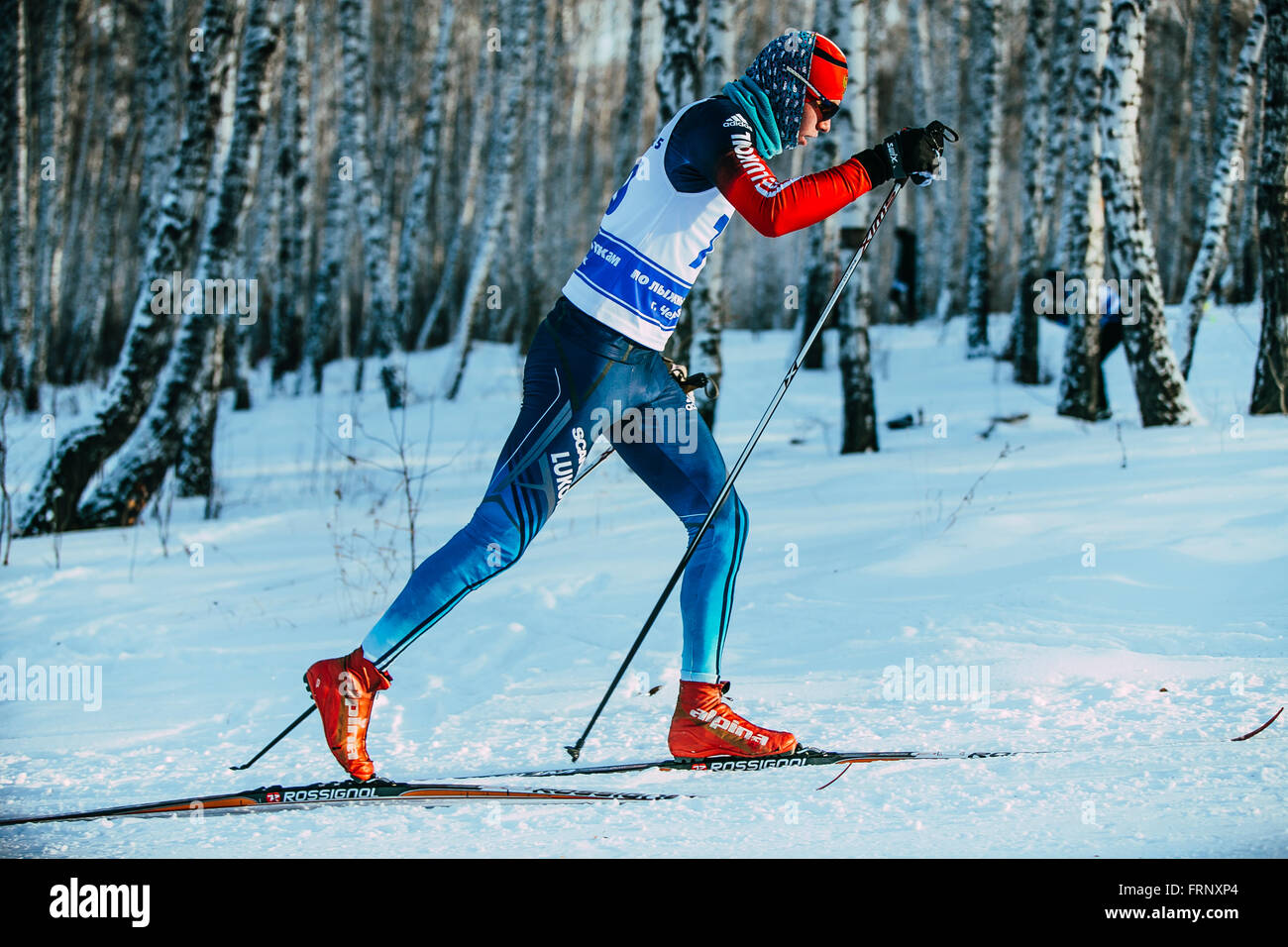 Athlète masculin au cours de skieur libre forêt course en style classique du Championnat de France en ski de fond Banque D'Images Athlète masculin au cours de skieur libre forêt course en style classique du Championnat de France en ski de fond Banque D'Images
