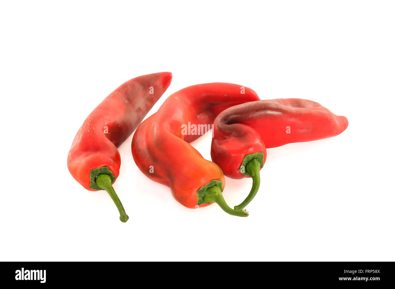 Paprika long rouge sur fond blanc Banque D'Images