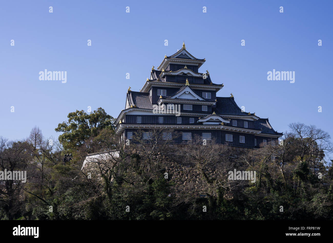 Okayama Castle comme vu de l'autre côté de la rivière Asahi au printemps, Okayama, Japon Banque D'Images