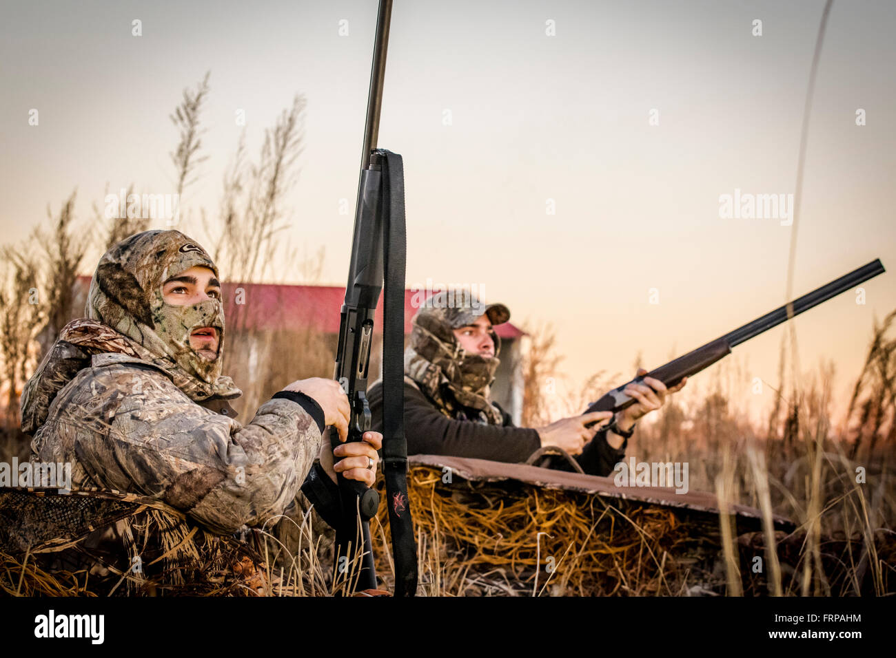 Les chasseurs s'occuper d'un round de canards Banque D'Images