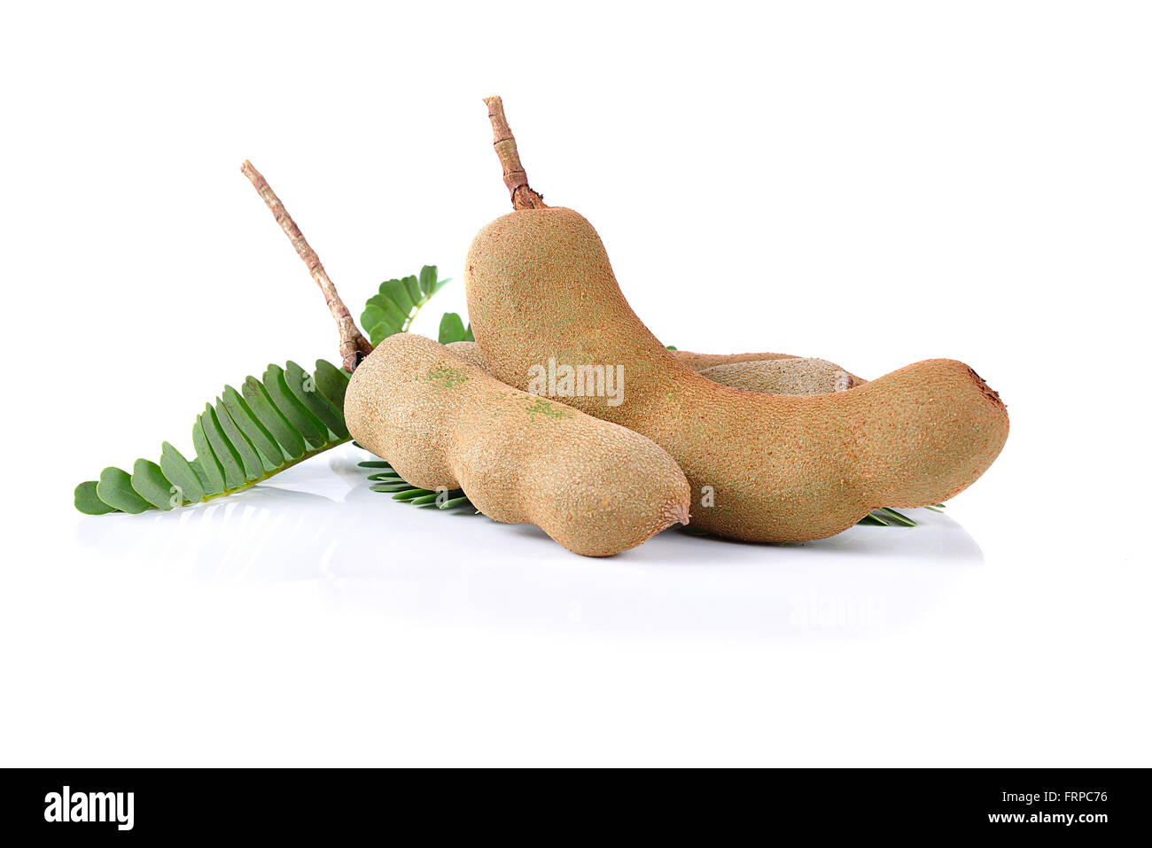 Tamarind isolé sur fond blanc Banque D'Images