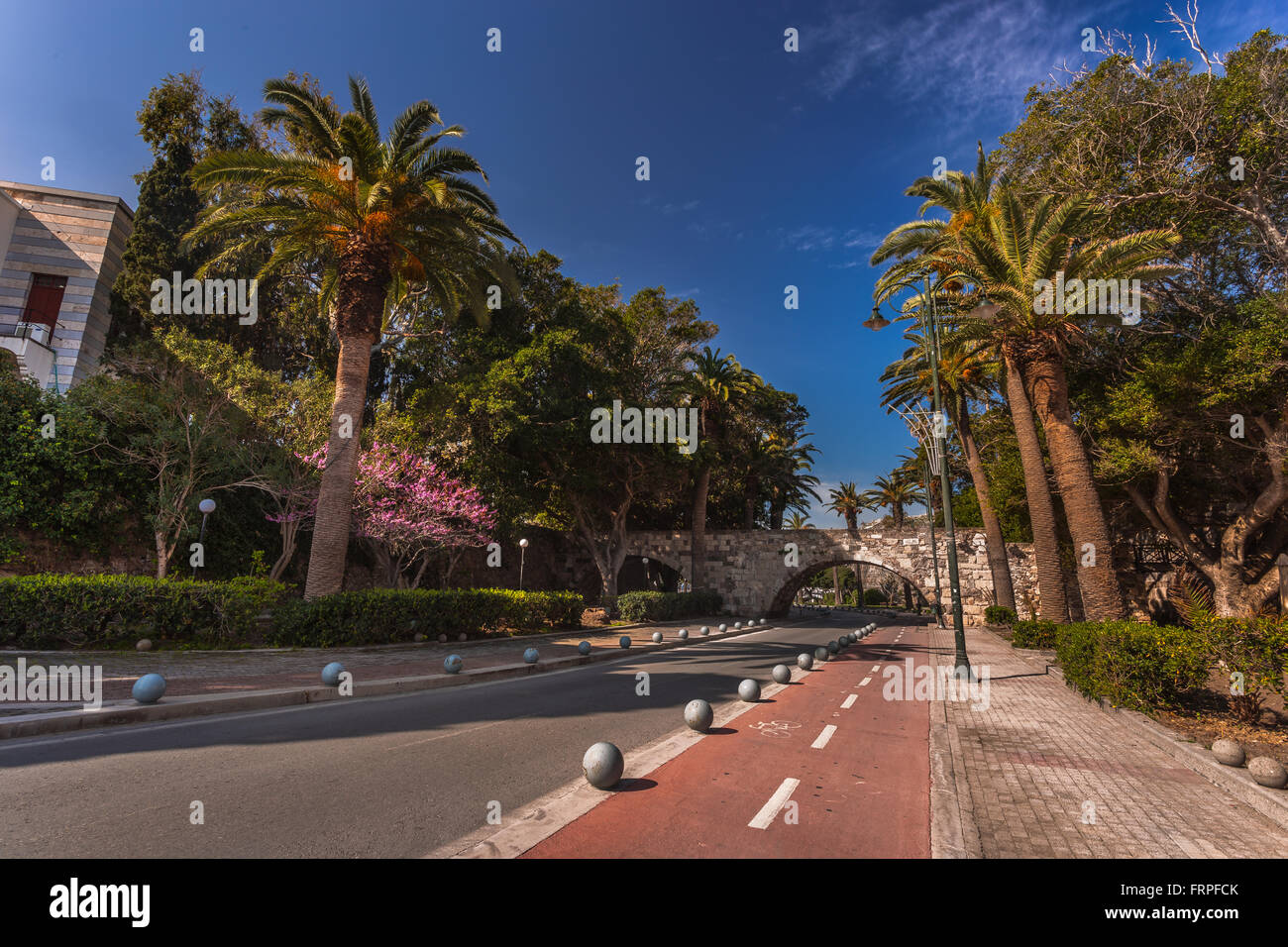 Avenue de palmiers, l'île de Kos, Grèce. Banque D'Images