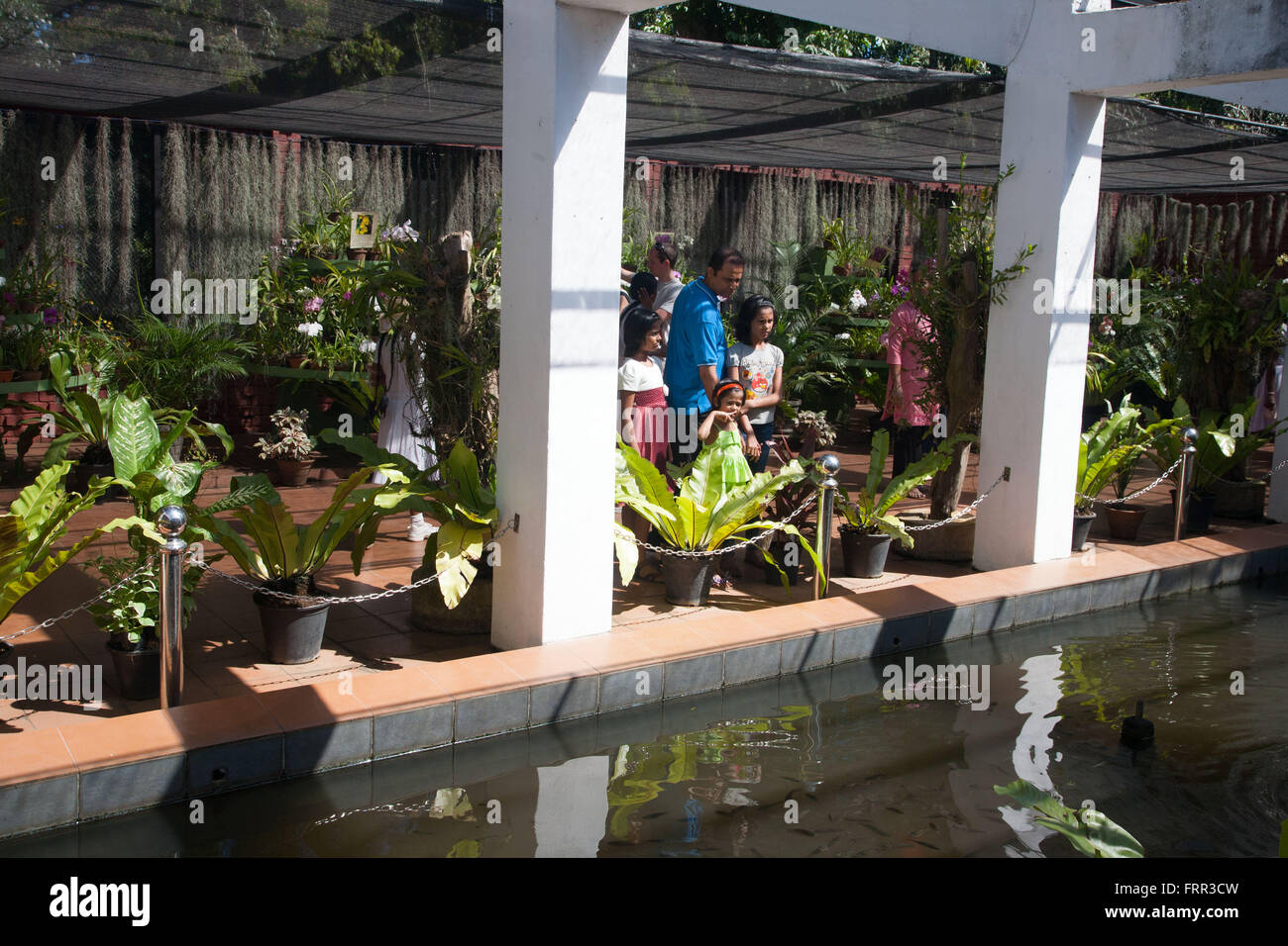 L'Orchid House dans les Jardins Botaniques Royaux de Peradeniya, Kandy, Sri Lanka Banque D'Images