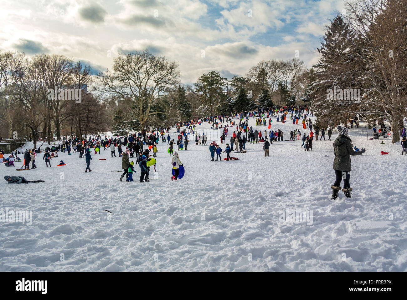 La luge dans Central Park en hiver, New York City, USA. Banque D'Images